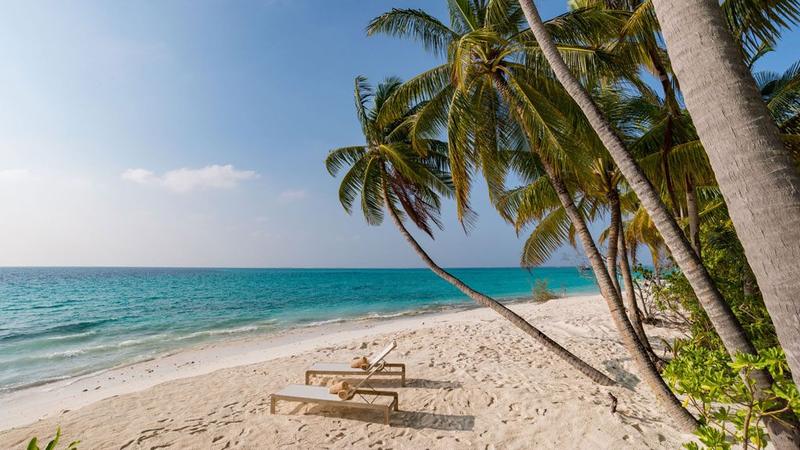 الشاطئ وأشجار النخيل، Fiyavalhu Maldives