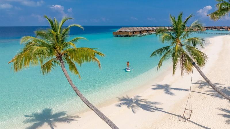 أشجار نخيل مائلة فوق الشاطئ الأبيض وخلفها الفلل المائية، منتجع جزيرة فيليغاندو المالديف